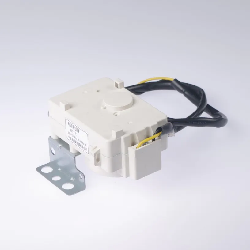 Drain Motor