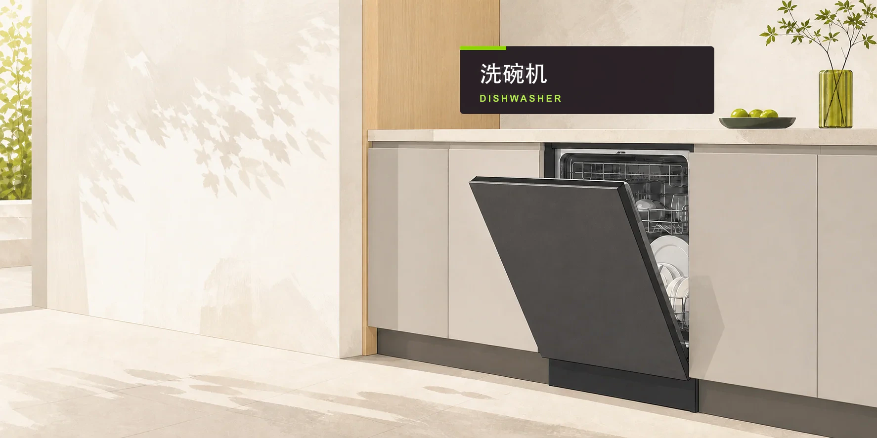 Dishwasher Solutions